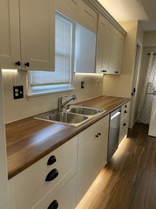 Kitchen Remodel in Odessa and Overland Park